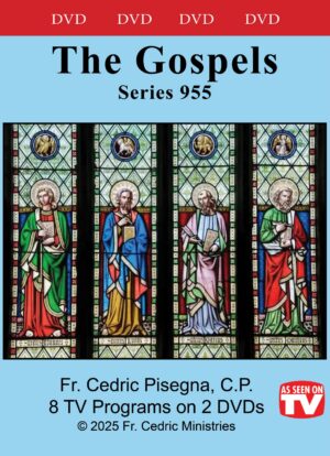 The Gospels - Series 955 DVD